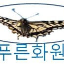 흥생한의원 Daum카페