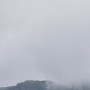 안개티천 이미지