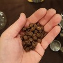 커피리뷰-토마토와 자몽의 과일맛이 고스란히 담겨있는 커피원두-케냐 AA 니에리 레드마운틴 이미지