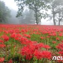 축성 농장 이미지