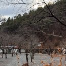 터널산장 | 벚꽃이 흐드러질 그날을 기다리며-밀양 구만산장 오토캠핑장 겨울 캠핑 이야기