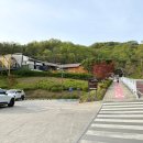 이천청소년수련원 | 단양 놀거리 만천하 스카이워크 알파인코스터 속도 짚라인 운영시간 가격 탑승 후기
