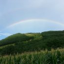 점리농장 이미지