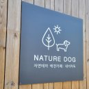 네이처독