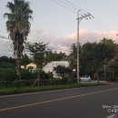 강정동-29 이미지