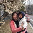 파크이발