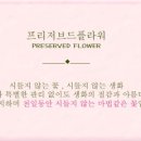 수원-0355 이미지