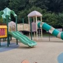 구갈레스피아_M 이미지