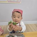 🌱🍡망개잎송편🍡🌱 이미지