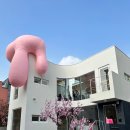 모굴(MOGUL) 티스토리