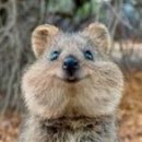행복한화가학원