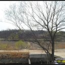 여주-0523 이미지