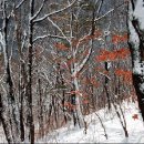 옥계리 팔각산장 앞 이미지