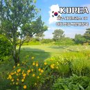 백년해장국송당점 | 제주 골프 여행 성산 사이프러스CC 조식 아침식사 맛집 백년해장국 표선성읍