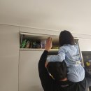 GR(고령군)-[대가야로]-상-7 | 2025년 12월 일상 모아보기