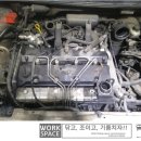 대한부란자 이미지