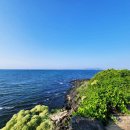 호매실역서희엘리트 공인중개사사무소 이미지