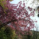 병풍사입구 이미지