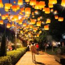 나비특화거리 이미지