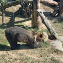 전주동물원 이미지