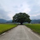 야로경로당 이미지