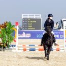 영광승마장 이미지