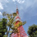 [Tour] 도쿄타워, 오다이바 답사길...어수선한 하루 이미지