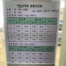 지도읍선도보건진료소 | 전라남도 가볼 만한 곳 신안 1004섬 선도 [수선화 축제] feat. 신월항 &amp; 가룡항 비교