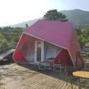 거제글램퍼스 이미지