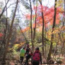 선홍빛 단풍으로 곱게 물든 해산(日山)과 비수구미마을(`13.10.20) 이미지