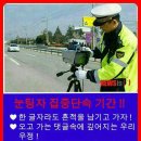 지동 창룡마을창작센터 갤러리 | 논산시 여성친화도시 조성을 위한 시민참여단 수원시 지동 연못 안전마을 속으로 여행 #여성가족부