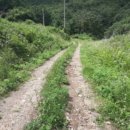 불은면-5 이미지