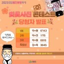 학산면 버스정류장 | 전남 봄축제 여행 벚꽃축제 열린 영암 왕인문화축제 기본정보