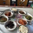 모니민박 이미지