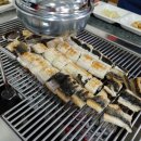 도림장어 이미지