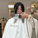 성수역미용실 :: 아르결 성수 유나디자이너 인생헤어 레이어트컷 후기