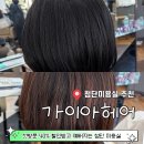 롯데쇼핑(주) 롯데마트 첨단점 | 첨단미용실 추천 가이아헤어 전체염색 첫방문 40% 할인 후기