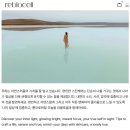 글로벌새싹어린이집 | [금천6기 전Z전능 브랜드 마케터] 코멘토 청년취업사관학교 전Z전능 브랜드 마케터 DAY11😵‍💫 (feat...