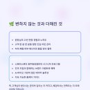 미호스킨아트
