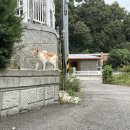지베르니펜션2 네이버블로그