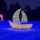 별빛정원B Daum카페
