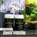 아세안 바이오 | HACCP 인증을 받은 아세안바이오 고바시 프리미엄 구피사료