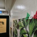 비더스테이 이미지