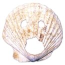 수호의 횃불 | 전통 예능 : 북청사자놀음