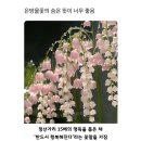 내 삶을 두드리는 그림책 | 2025 연말정삶 (2)