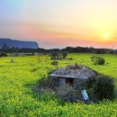 백패커스홈 이미지