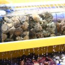 대성수족관 이미지