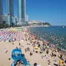 해운대로 428 이미지