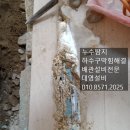 사가정 오래된 주택 누수원인, 알고 보니 이거였습니다!