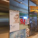 역삼옥스치과의원 네이버블로그